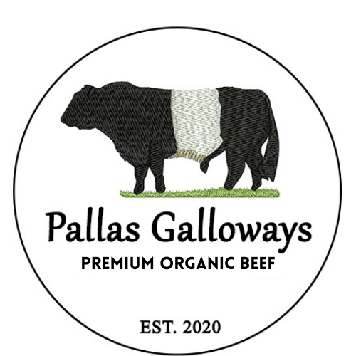 Pallas Galloway Premium Organic Beef - Mince Beef Pack